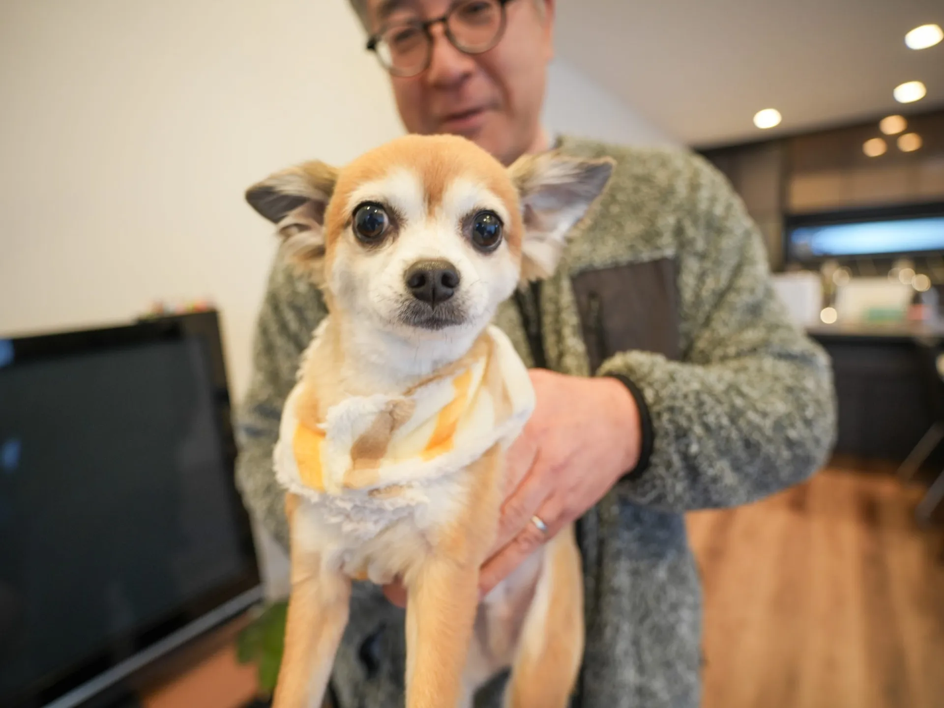 「趣味室」を備えた1.5階建て住宅